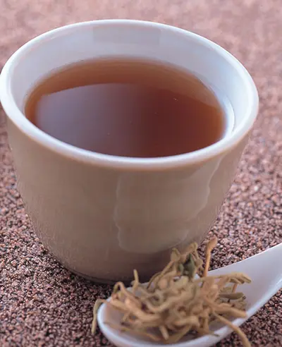 廣東感冒茶