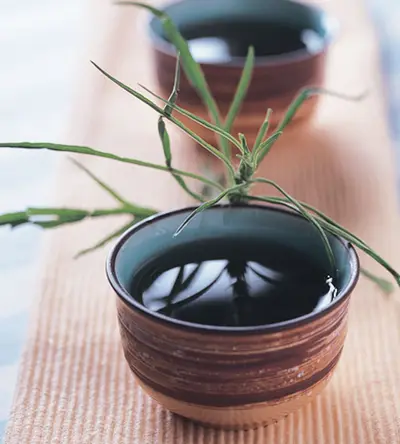 益母草茶