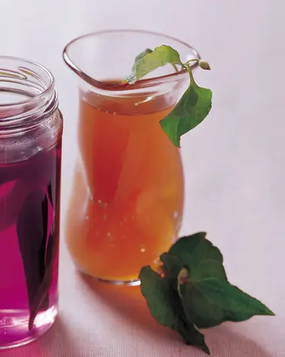 治痘青草茶