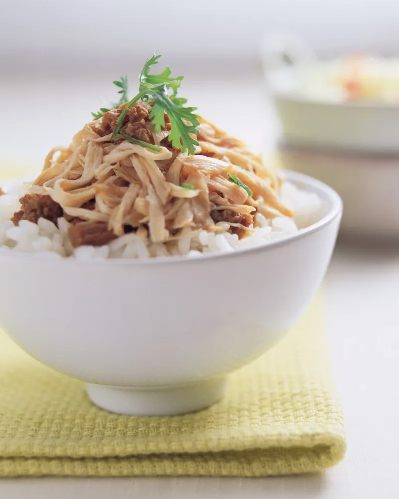 雞肉飯(1)