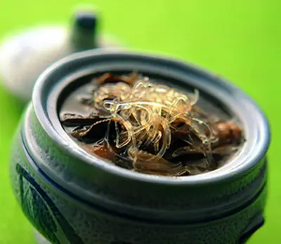 佛跳牆(2)