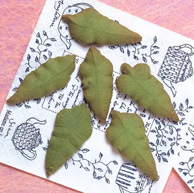 抹茶葉片餅乾