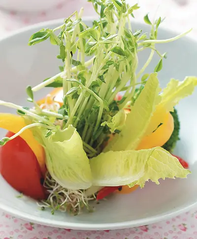 田園蔬菜