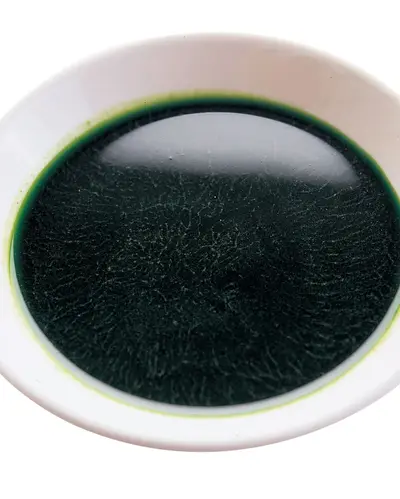 抹茶糖漿(1)
