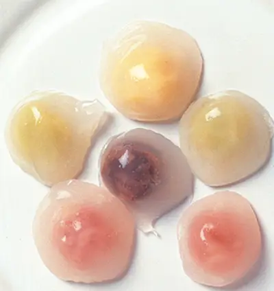 涼圓