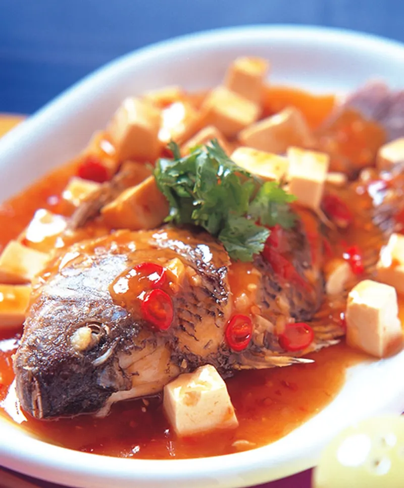 豆瓣鯉魚(2)